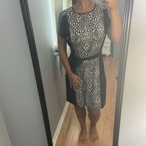 Business Casual Dress